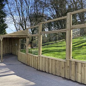 New Parma wallaby enclosure