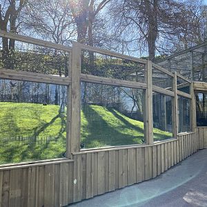 New Parma wallaby enclosure view 2