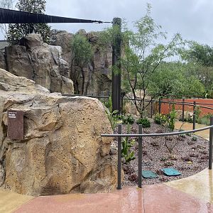 Galápagos Islands- California Sea Lion Enclosure