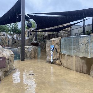Galápagos Islands- California Sea Lion Enclosure