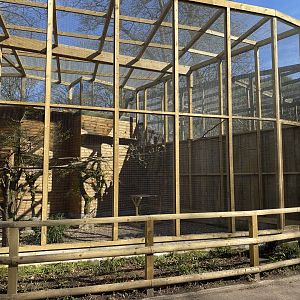 New aviary, Dudley zoo