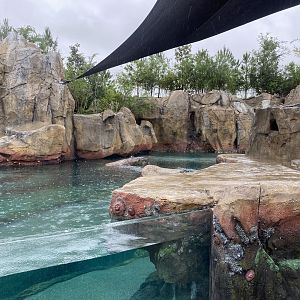 Galápagos Islands- California Sea Lion Enclosure