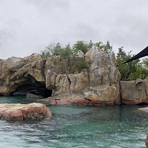 Galápagos Islands- California Sea Lion Enclosure