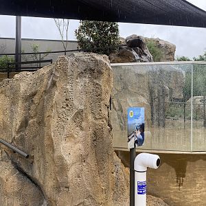 Galápagos Islands- Sea Lion Amphitheater