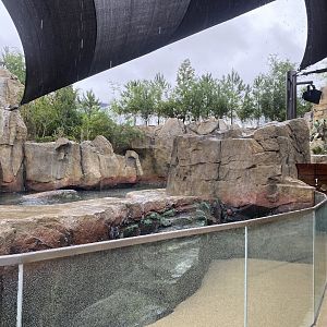 Galápagos Islands- California Sea Lion Enclosure