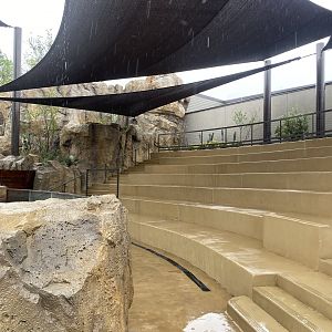 Galápagos Islands- Sea Lion Amphitheater