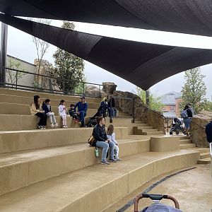 Galápagos Islands- Sea Lion Amphitheater
