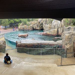 Galápagos Islands- Sea Lion Amphitheater
