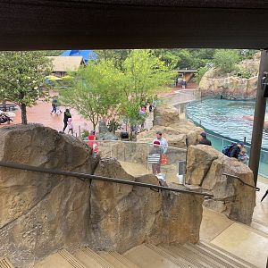 Galápagos Islands- Sea Lion Amphitheater