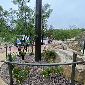 Galápagos Islands- Spiraling Ramp