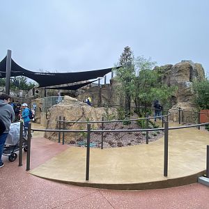 Galápagos Islands- Spiraling Ramp