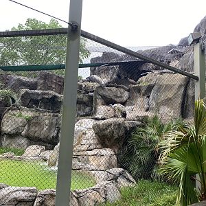 Cats, Hoofed Animals, and More- Vulture Enclosure