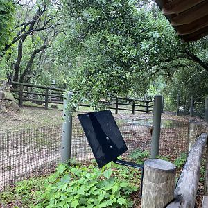 Cats, Hoofed Animals, and More- Radiated Tortoise Enclosure
