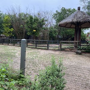 Cats, Hoofed Animals, and More- Radiated Tortoise Enclosure