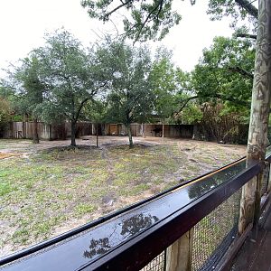 Hoofed Road- Stanley Crane, Yellow-Backed Duiker, and Okapi Enclosure