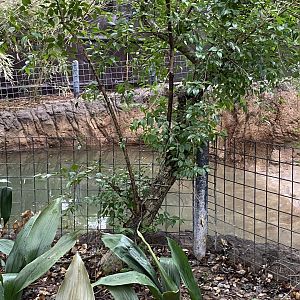 Wortham World Of Primates- Chilean Flamingo Enclosure