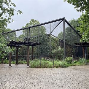 South America’s Pantanal- Waterbird Aviary