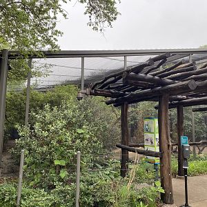 South America’s Pantanal- Waterbird Aviary