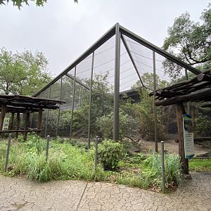 South America’s Pantanal- Waterbird Aviary