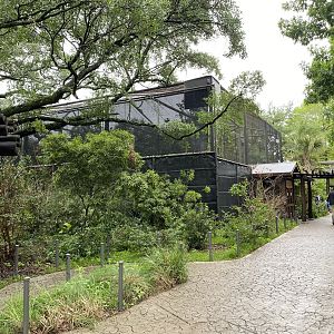 South America’s Pantanal- Savanna Aviary