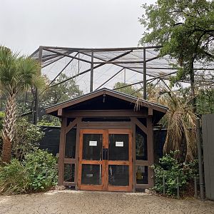 South America’s Pantanal- Savanna Aviary