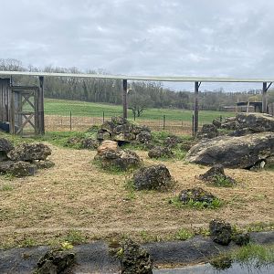 Pallas’s Cat Enclosure