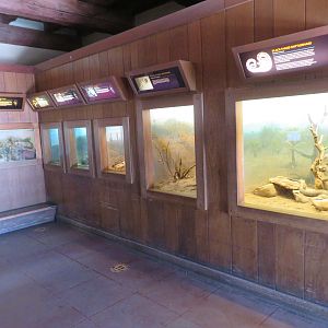 Reptile Exhibits