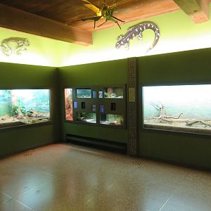 Amphibian Exhibits