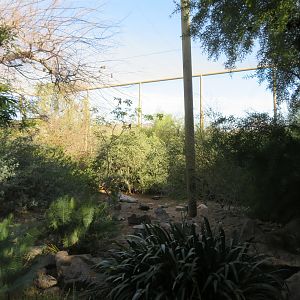 Inside Aviary