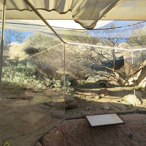 Antelope Jackrabbit and Co. Exhibit