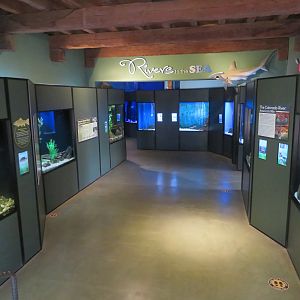 Aquarium Room