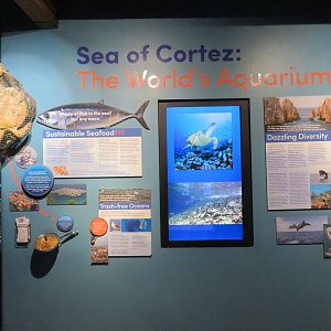 Sea of Cortez Info Signage