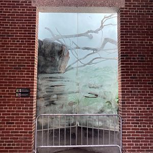 New- Collared Lemur Exhibit