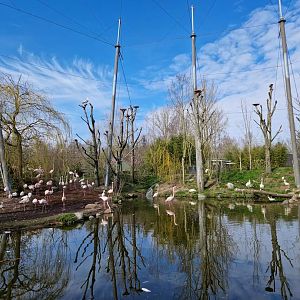 African Waters Aviary