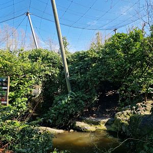 South American Aviary