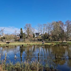 Walktrough Sitatunga exhibit