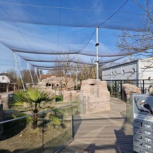 Marys Australian Walkthrough Garden