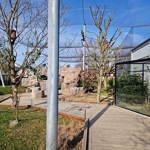 Marys Australian Walkthrough Garden  path