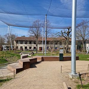 Marys Australian Walkthrough Garden rare part