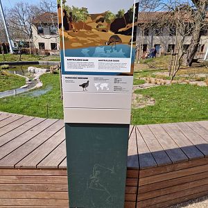 Tasmanian nativehen sign