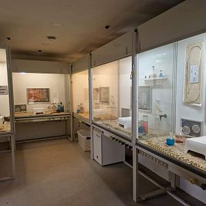 Venomous Snake Laboratory