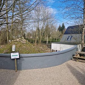 European pond turtle exhibit