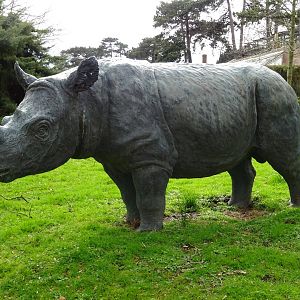 Sumatran Rhinoceros 'Torgamba' Statue