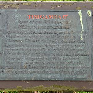Torgamba Sign