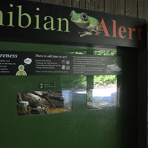 Cyrpress Swamp - Amphibian Alert Exhibit (May 2017)