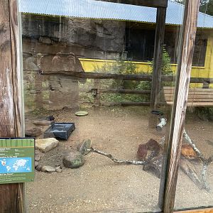 Children’s Zoo- Three-Toed Box Turtle Enclosure