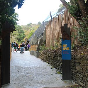 Approach to the new Snow Leopard enclosure