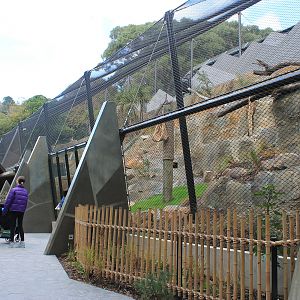 New Snow Leopard enclosure (right side)