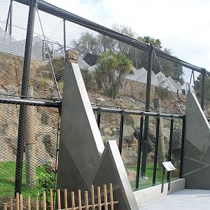 New Snow Leopard enclosure (left side)