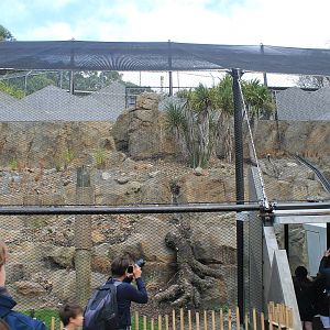 New Snow Leopard enclosure (left side)